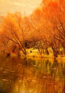 Autumn Pond